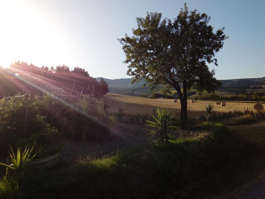 Carlo'S Country House Castellina Marittima Exterior foto